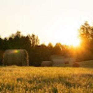 Meet your Posher, Maribel